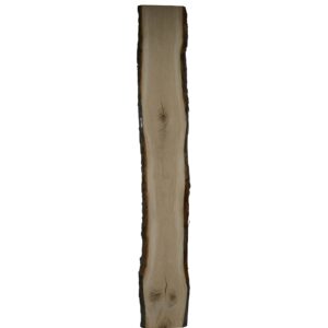 Eiken schaaldeel met noesten, gedroogd en geschaafd. 4 cm dik.