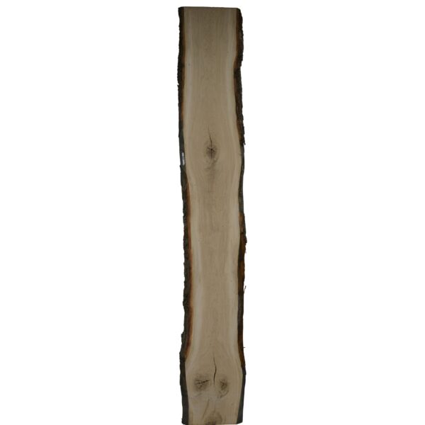 Eiken schaaldeel met noesten, gedroogd en geschaafd. 4 cm dik.