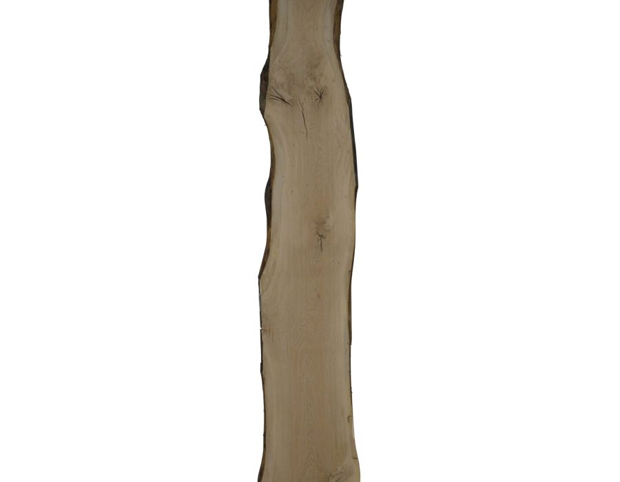 Eiken schaaldeel met noesten, gedroogd en geschaafd. 4 cm dik.