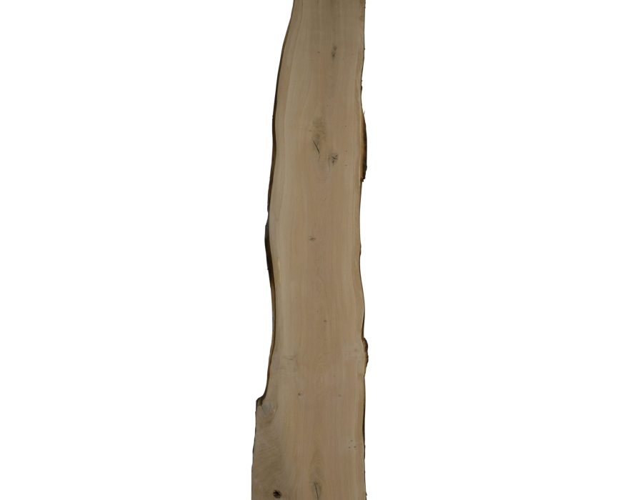 Eiken schaaldeel met noesten, gedroogd en geschaafd. 4 cm dik.