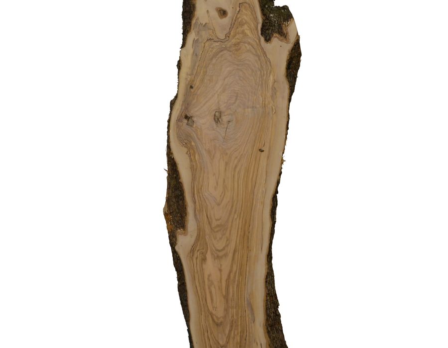 860 Olijfhout 193-1