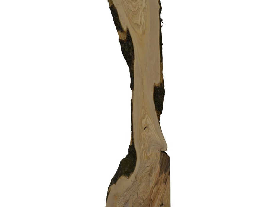 860 Olijfhout 195-1