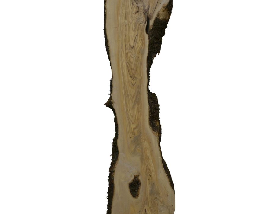 860 Olijfhout 196-1