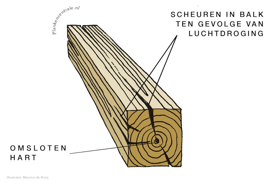 Hartscheuren in eiken