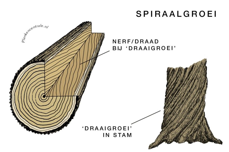 spiraal groei vierkant